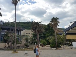 19366471_227949034391028_1082512810727506422_n